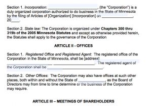 Ngo bylaws Template Free Minnesota Corporate bylaws Template Pdf Word Mn
