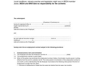 Ngo Employment Contract Template 12 Employment Contracts for Restaurants Cafes and