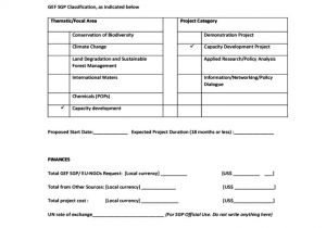 Ngo Project Proposal Template Eu Ngos Project Proposal Template Undp Free Download