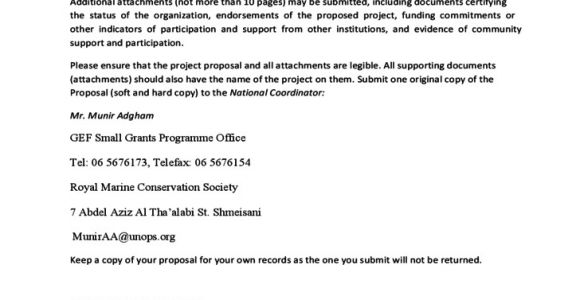 Ngo Project Proposal Template Eu Ngos Project Proposal Template Undp Free Download