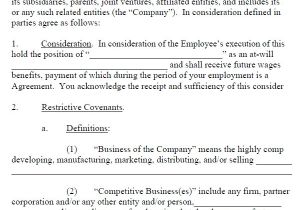 No Compete Contract Template Non Compete Agreement 13 Free Pdf Word Download