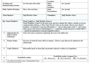 Non Profit Charter Template Charter Examples Team Charter Customer Service Charter