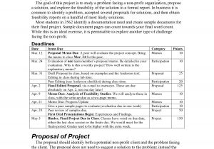 Non Profit Project Proposal Template 10 Best Images Of Proposal Sample Pdf Business Proposal