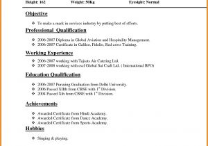 Normal Resume for Job Application Resume format normal format normal Resume 2 Resume