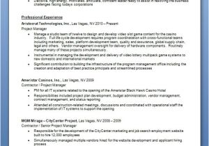 Normal Resume format Word normal Project Manager Resume format In Word Free Download