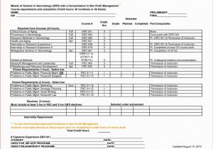 Not for Profit Business Plan Template 33 Best Of Strategic Plan Template Americas Business Council