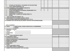 Nsf Budget Template 7 Budget Proposal Templates Free Samples Examples