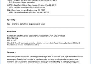 Nurse Job Application Resume Sample Travel Nursing Job Application Bluepipes Blog