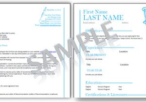 Nurse Portfolio Template Nursing Portfolio Cover Letter Examples Drugerreport732