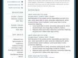 Nurse Practitioner Resume Sample 10 Premium Nurse Practitioner Resume Templates Sample