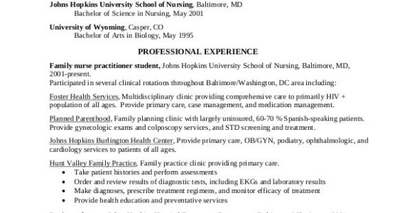Nurse Practitioner Student Resume 15 Nurse Resume Templates Pdf Doc Free Premium