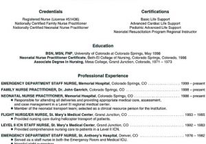 Nurse Practitioner Student Resume Nurse Practitioner Resume Example