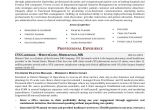 Nurse Practitioner Student Resume Objective Objectives for Nurse Practitioner Resume Free Resume Sample