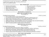 Nursing assistant Resume Sample Nursing Aide and assistant Resume Examples Created by