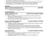 Nursing Resume Skills Sample 45 Download Resume Templates Pdf Doc Free Premium