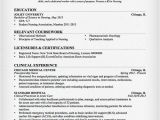 Nursing Resume Templates Nursing Resume Sample Writing Guide Resume Genius