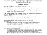 Nursing Student Resume Nursing Student Resume Example 10 Free Word Pdf