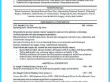 Nursing Student Resume Summary Of Qualifications High Quality Critical Care Nurse Resume Samples