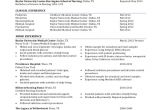 Nursing Student Resume with No Experience Pdf Sample Nursing Student Resume 8 Examples In Word Pdf