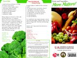 Nutrition Brochure Template Nutrition Flyer Ideas Best and Professional Templates
