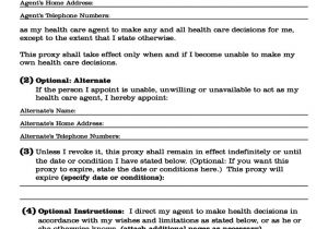 Nys Will Template Health Care Proxy form New York City Free Download