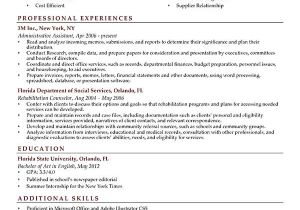 Objective for Resume It Professional How to Write A Career Objective 15 Resume Objective