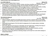 Objective for Resume It Professional How to Write A Career Objective On A Resume Resume Genius