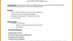 Objective In Resume for Job Application 8 Cv Objective for Job theorynpractice