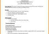 Objective Job Application Resume 8 Cv Objective for Job theorynpractice