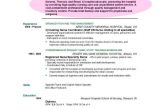 Objective Resume Samples why Resume Objective is Important
