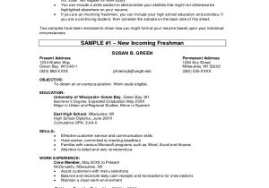 Objective Statement for Student Resume Objective for Employment Resume Unemploymentbenefits Web