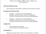 Objetivo De Un Resume Profesional Curriculum Vitae 03 Ejemplos Y Tipos Aulas De Empleo Y
