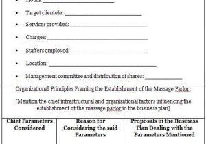 Occupational therapy Business Plan Template Massage therapy Business Plan Template Templates