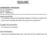 Office Boy Sample Resume Domestic Help In India Resume Office Boy Paintry