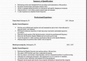 One Employer Resume Sample Qa Tester Resume Sample One Occupational Examples Samples