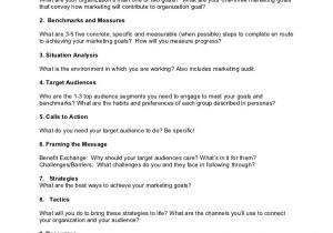 One Page Nonprofit Business Plan Template Nonprofit Marketing Plan Template Summary