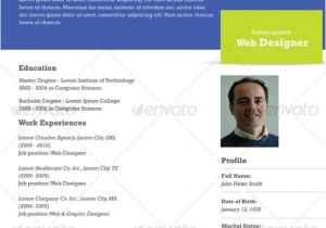 One Page Professional Resume Template 41 One Page Resume Templates Free Samples Examples
