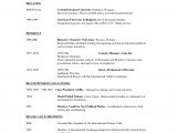 One Page Professional Resume Template One Page Resume Template E Commerce