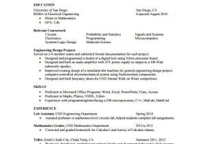 One Page Resume format Word One Page Resume Template Cyberuse