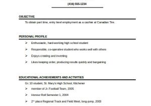 One Page Resume Sample 41 One Page Resume Templates Free Samples Examples