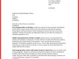 One Paragraph Cover Letter Concluding A Letter Good Resume format