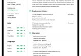 Online Basic Resume Maker Online Resume Builder Create A Perfect Resume In 5 Minutes