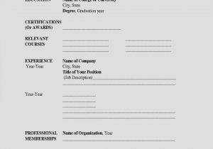 Online Blank Resume form Fill In Resume Ckum Ca