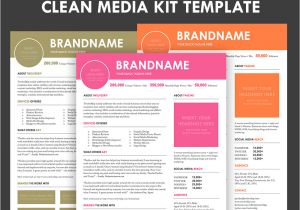 Online Media Kit Template Media Kit Screen3