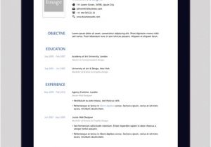 Online One Page Resume Template Free Professional Online One Page Resume Templates the