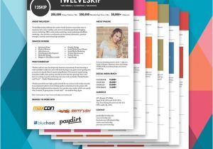 Online Press Kit Template 17 Best Images About How to Create Media Kit Templates On