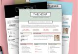 Online Press Kit Template 5 Punchy Easy to Edit Media Kit Templates for Bloggers