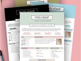 Online Press Kit Template 5 Punchy Easy to Edit Media Kit Templates for Bloggers