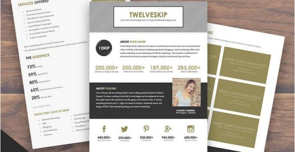 Online Press Kit Template 59 Best Images About Media Kit Inspiration A Media Kit