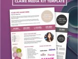 Online Press Kit Template Blogger Media Kit Press Kit Template Hipmediakits